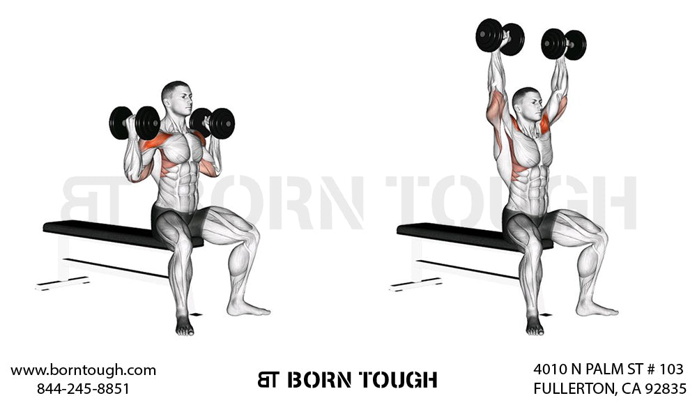 How to Perform the Arnold Dumbbell Press