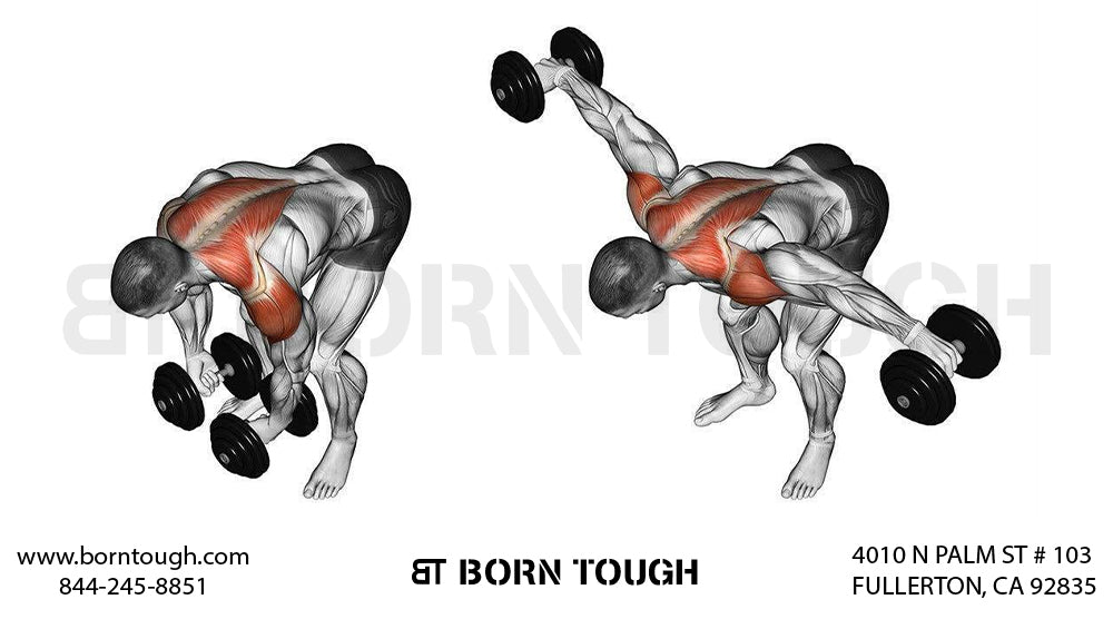 How to Perform the Bent Over Dumbbell Reverse Fly?