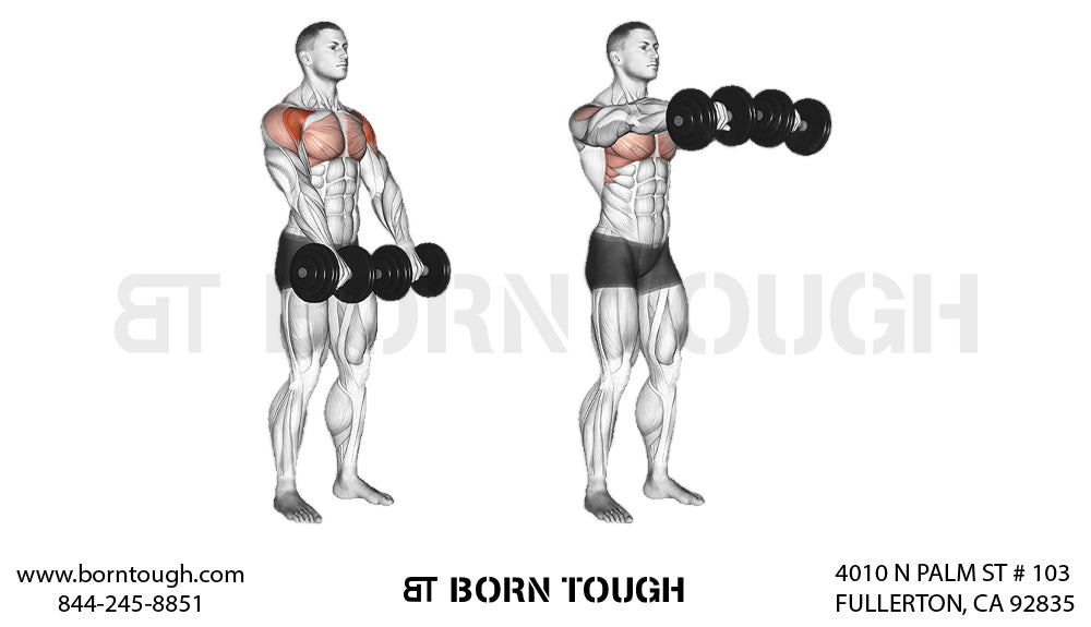 How to Perform the Dumbbell Front Raise?