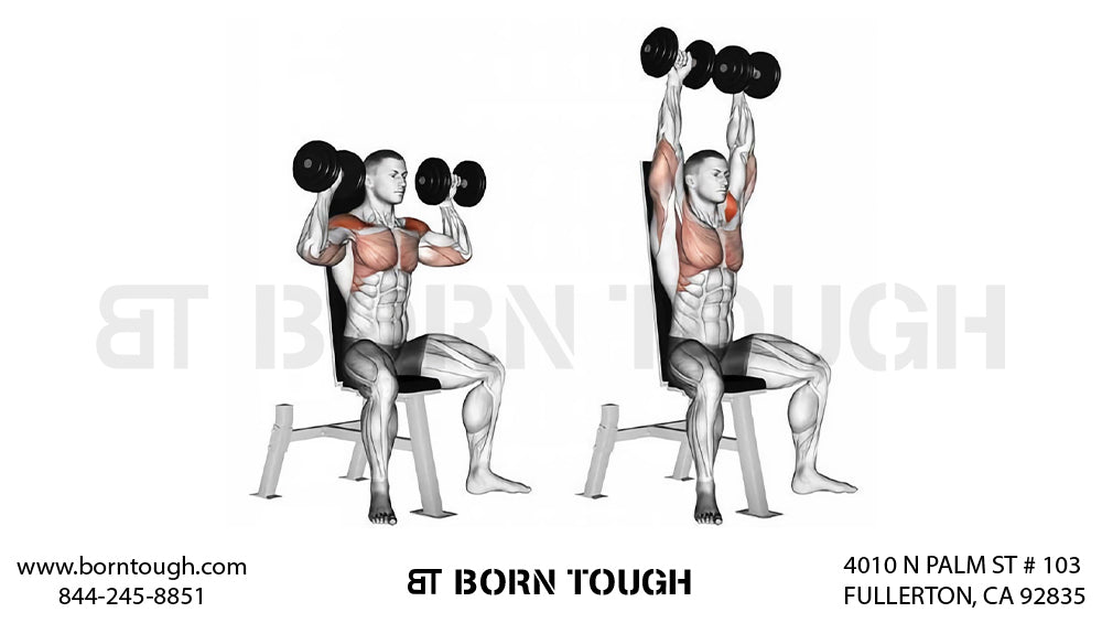 How to Perform the Dumbbell Shoulder Press?