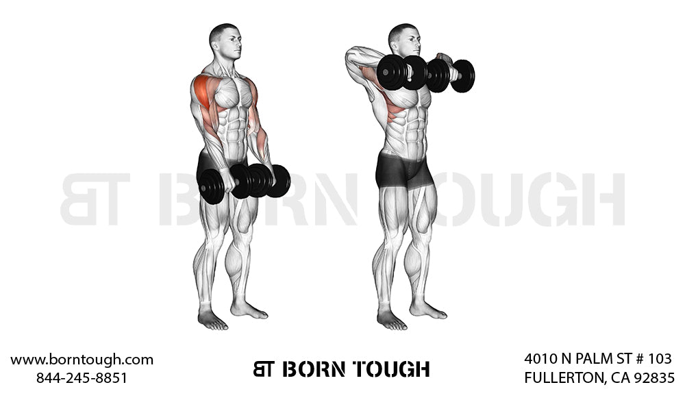 How to Perform the Upright Row?